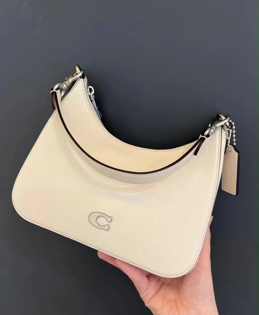 Coach Bag - 2 colors