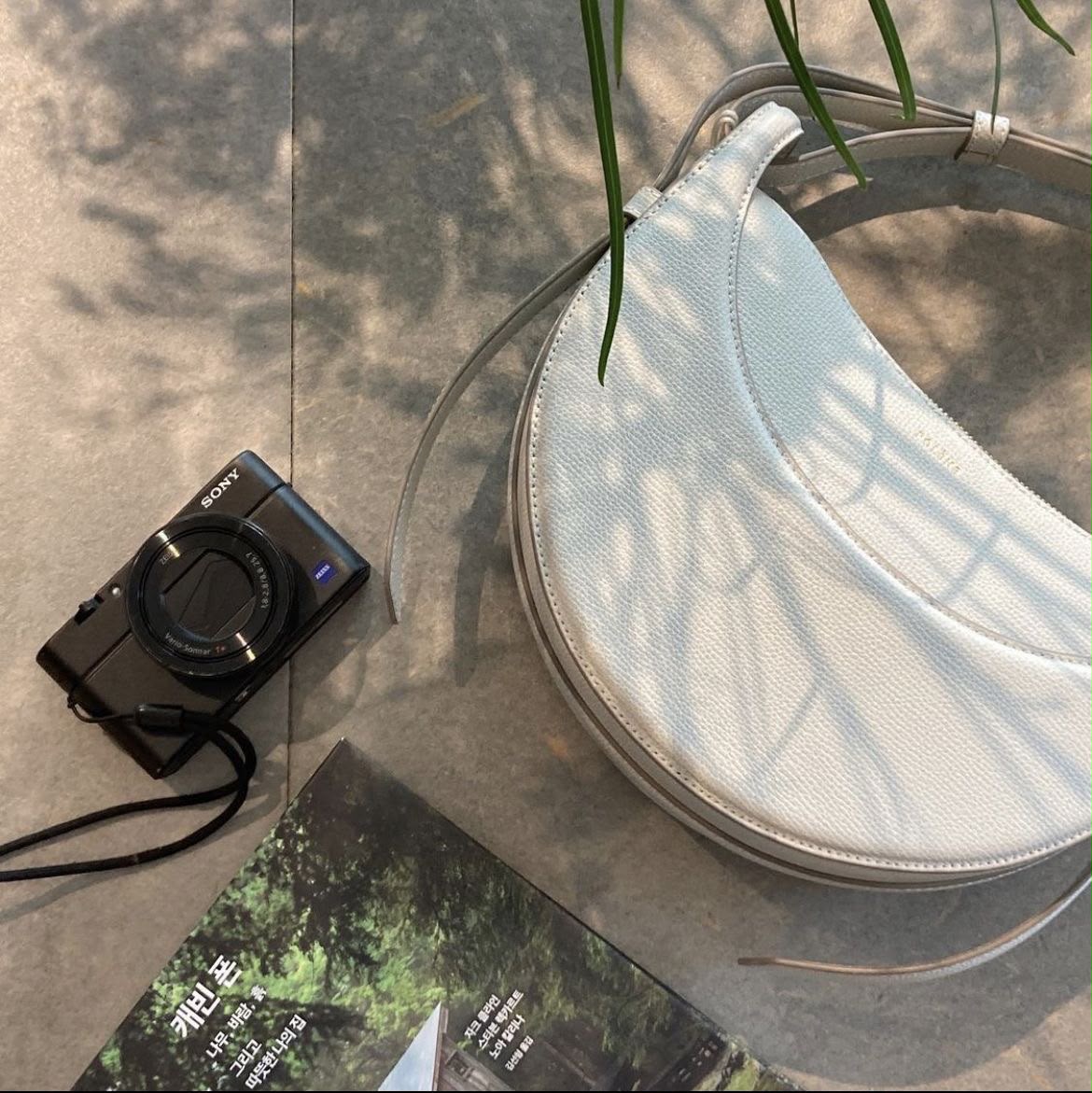 Polène Saddle Bag - White